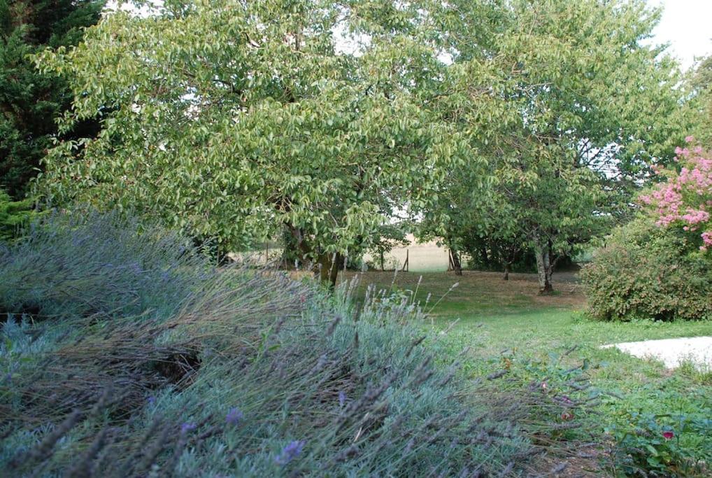 Puyreaux Uniquely Private Holiday Villa In The Charente מראה חיצוני תמונה
